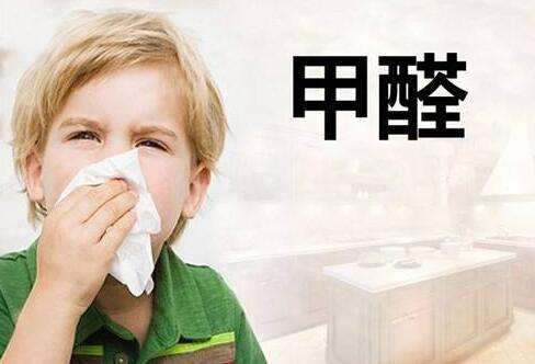 青岛除甲醛 青岛除甲醛