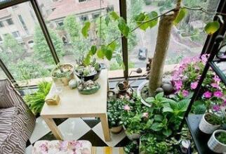 1539077734303142.jpg 青岛除甲醛.jpg